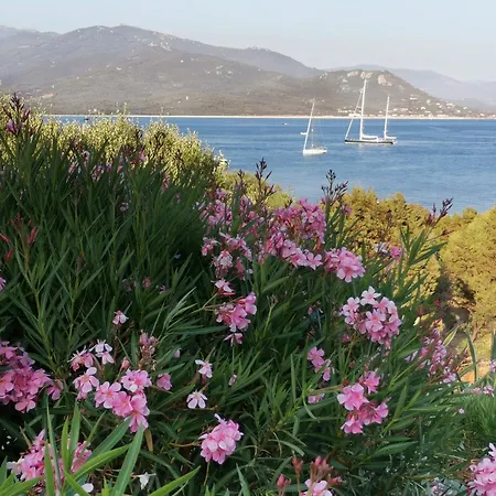 Duplex Vue Porto Pollo Διαμέρισμα